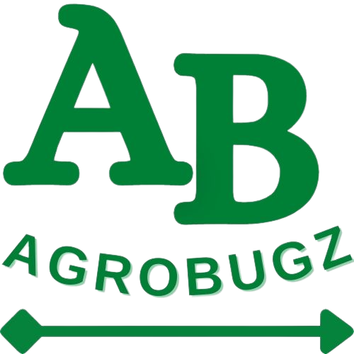 Bugz Admin Portal